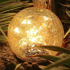 Hausen Solar-Powered Globe Lights